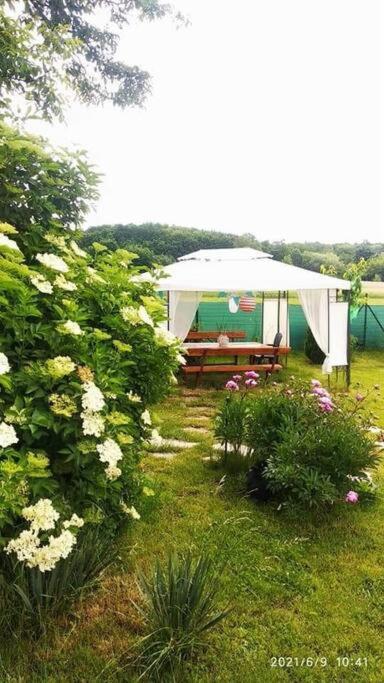 Appartement Family In The Garden *